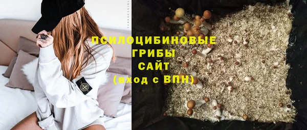 ПСИЛОЦИБИНОВЫЕ ГРИБЫ Коряжма